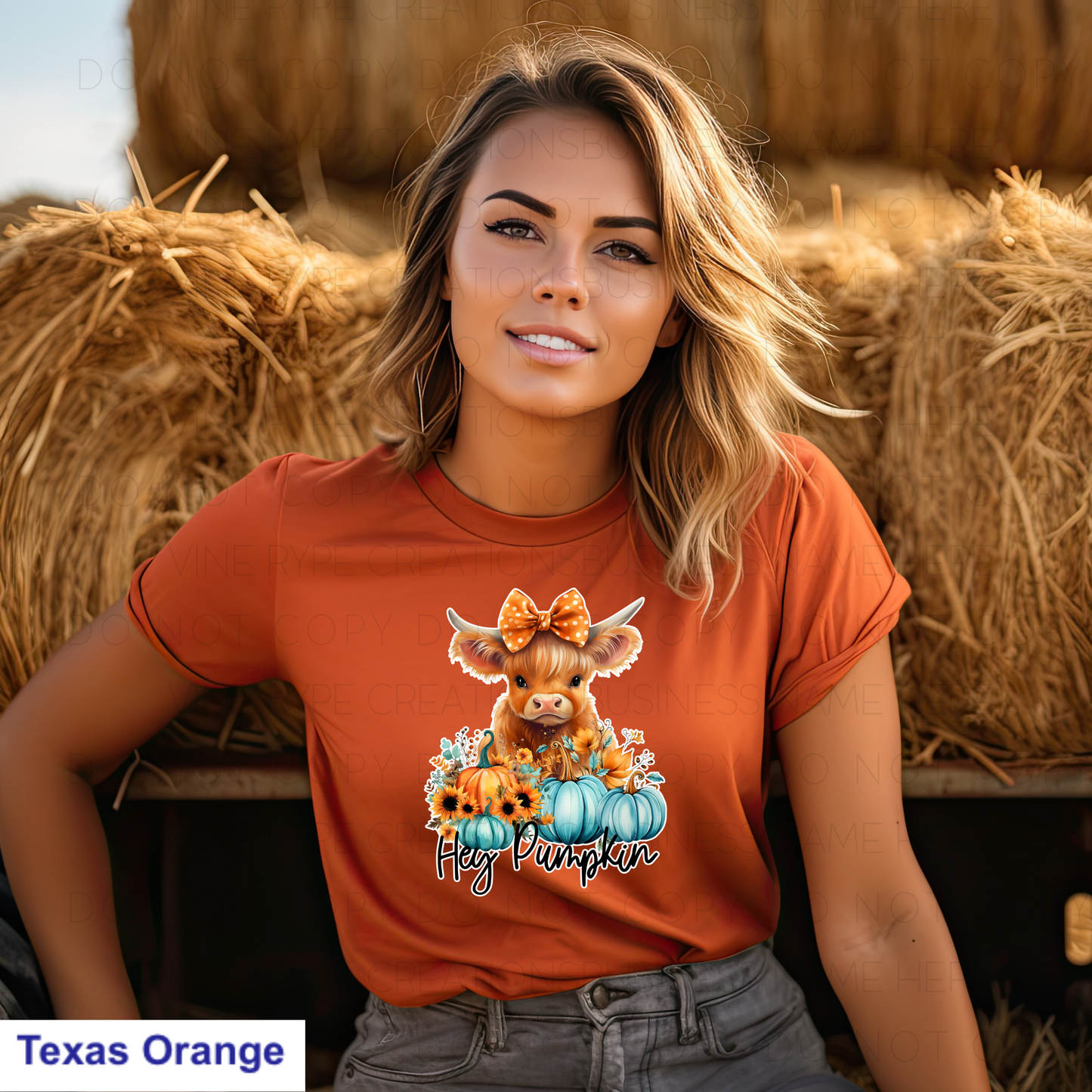 Hey Pumpkin T-shirt