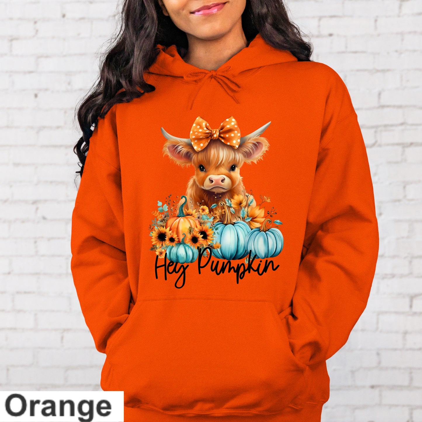 Hey Pumpkin Hoodie