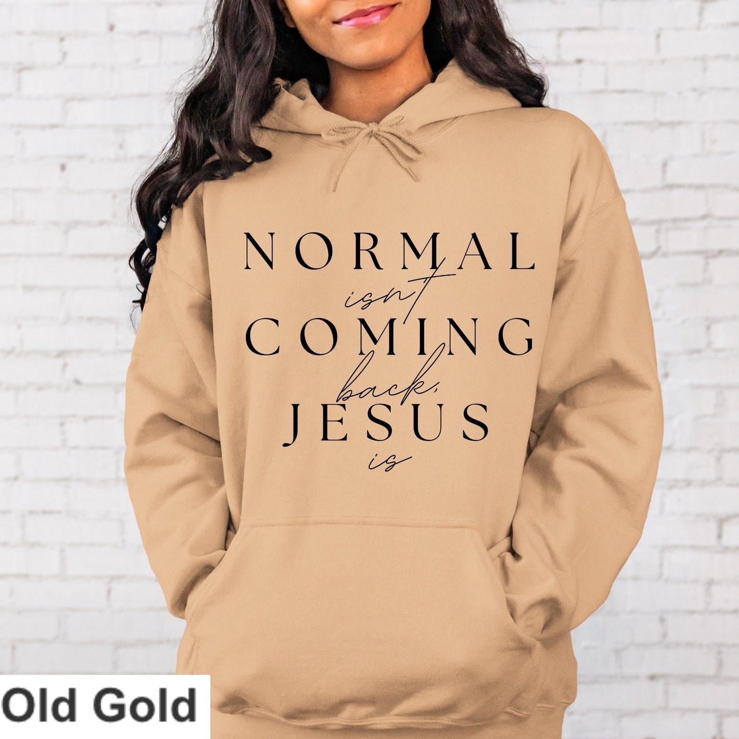 Normal Isn't Coming Back Jesus Is Hoodie