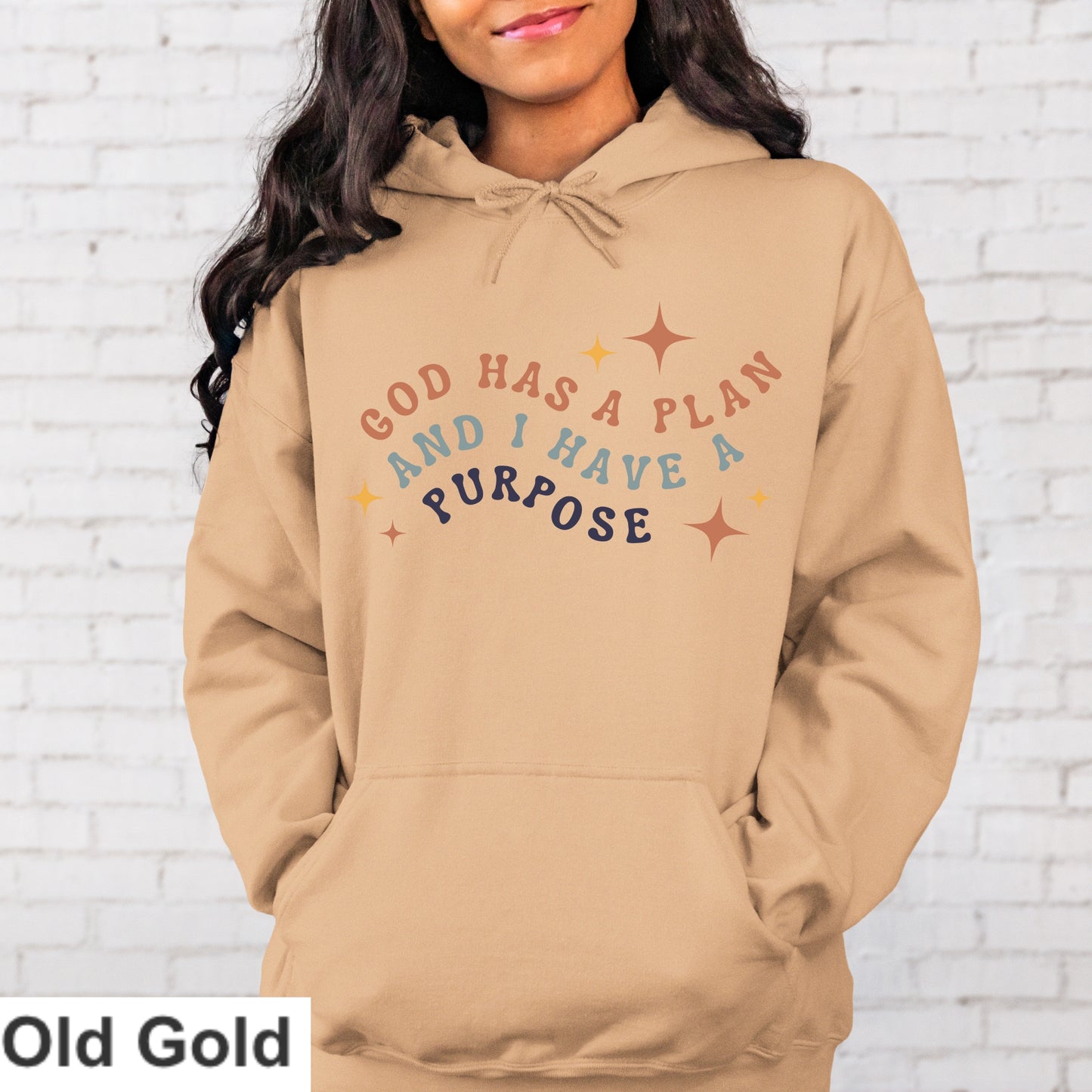 God Has A Plan I Have A Purpose Hoodie