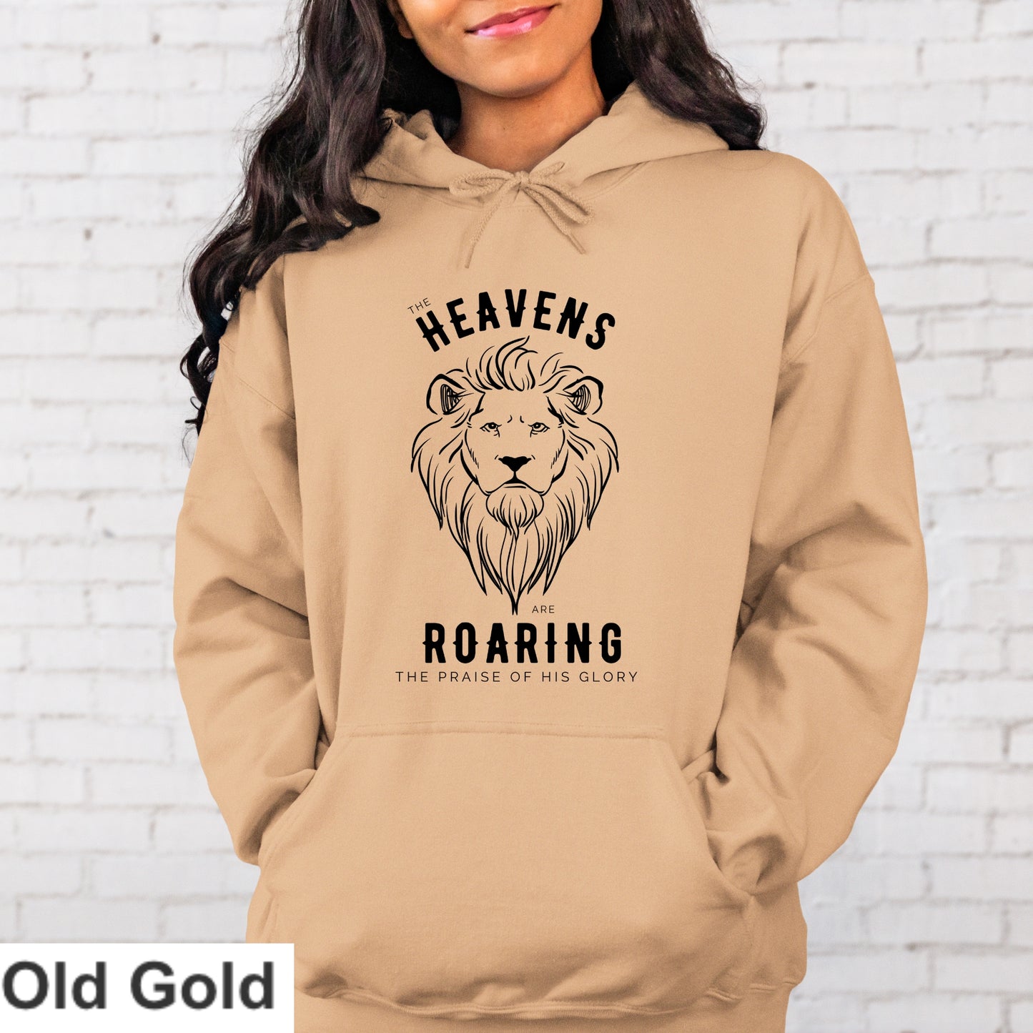 Heavens Are Roaring Hoodie