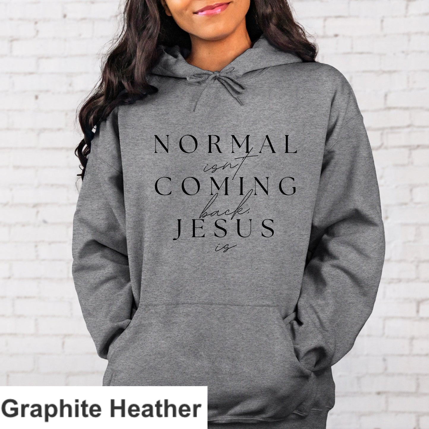 Normal Isn't Coming Back Jesus Is Hoodie