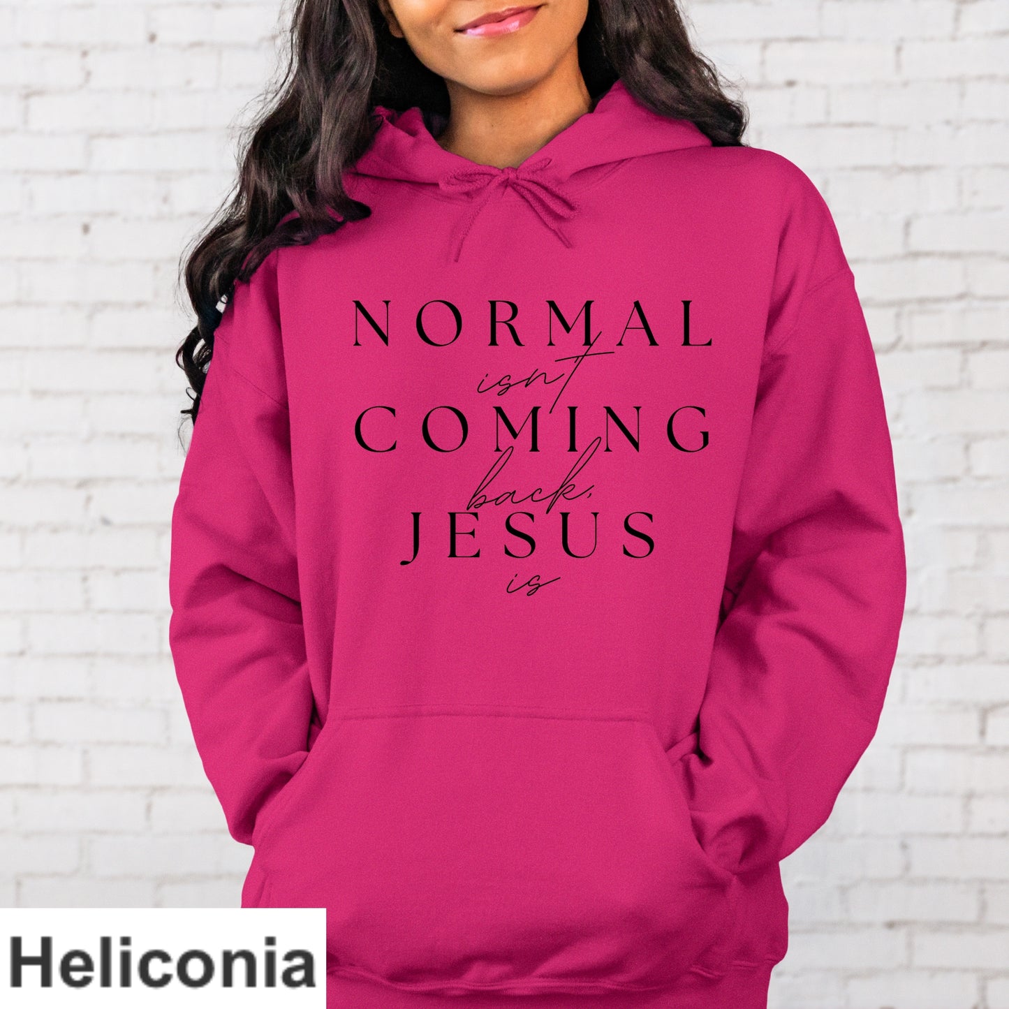 Normal Isn't Coming Back Jesus Is Hoodie