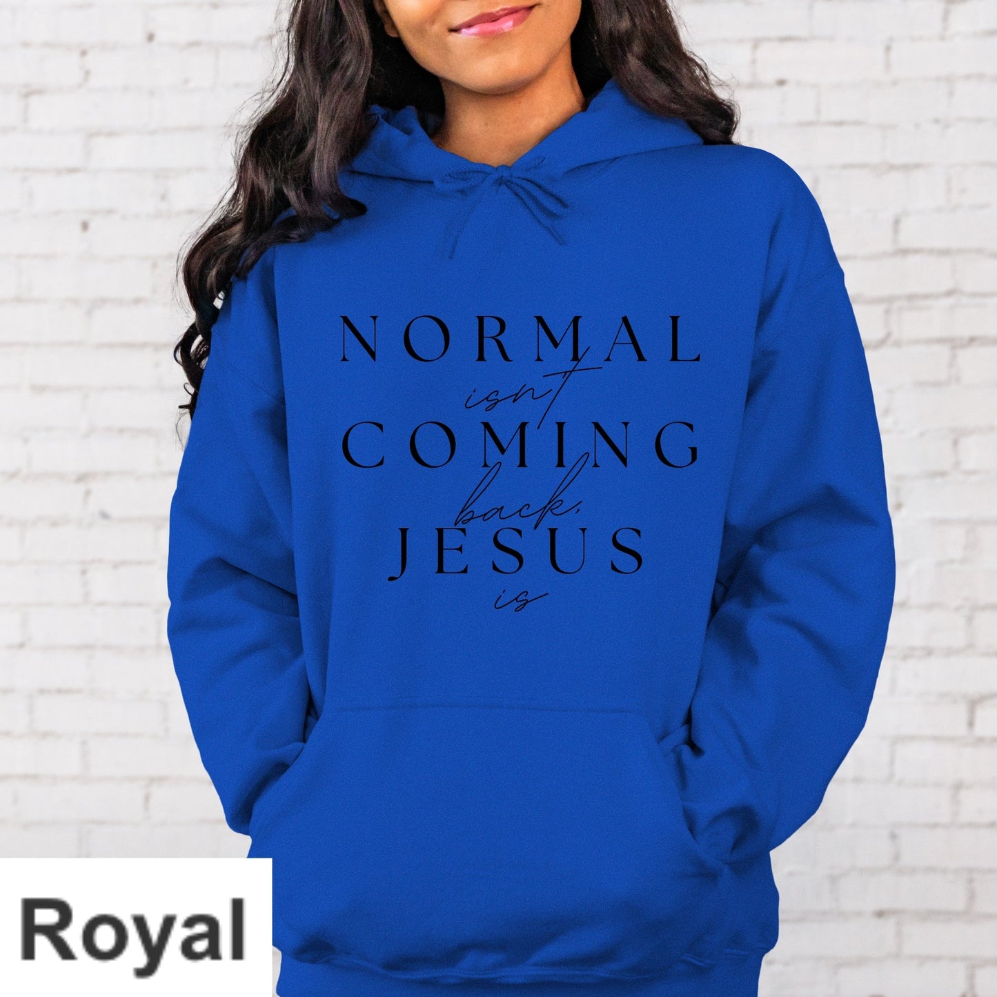 Normal Isn't Coming Back Jesus Is Hoodie