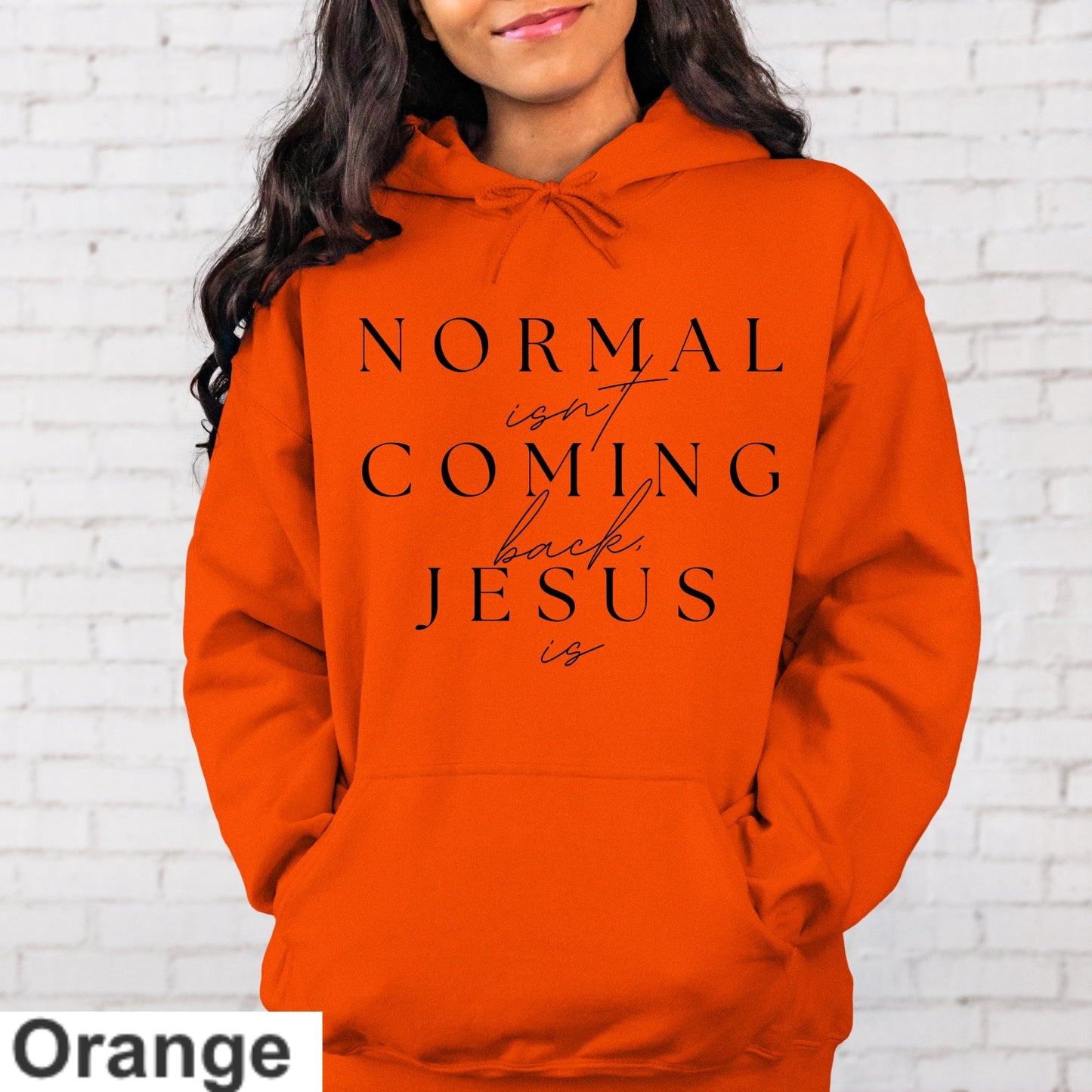 Normal Isn't Coming Back Jesus Is Hoodie