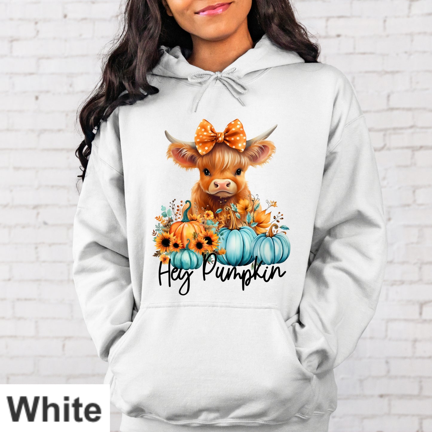 Hey Pumpkin Hoodie