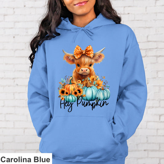 Hey Pumpkin Hoodie