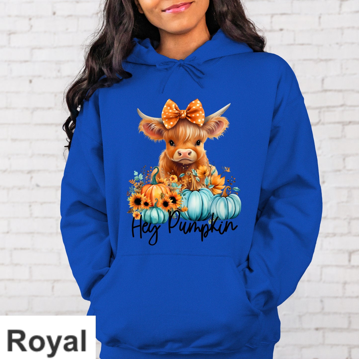 Hey Pumpkin Hoodie