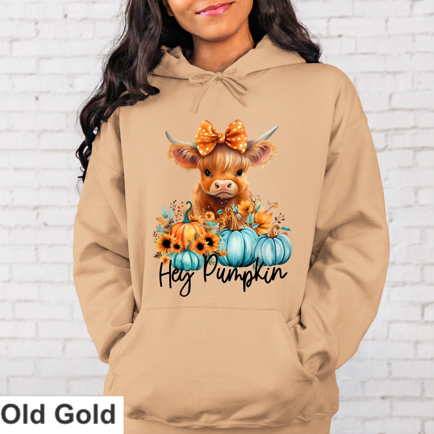 Hey Pumpkin Hoodie