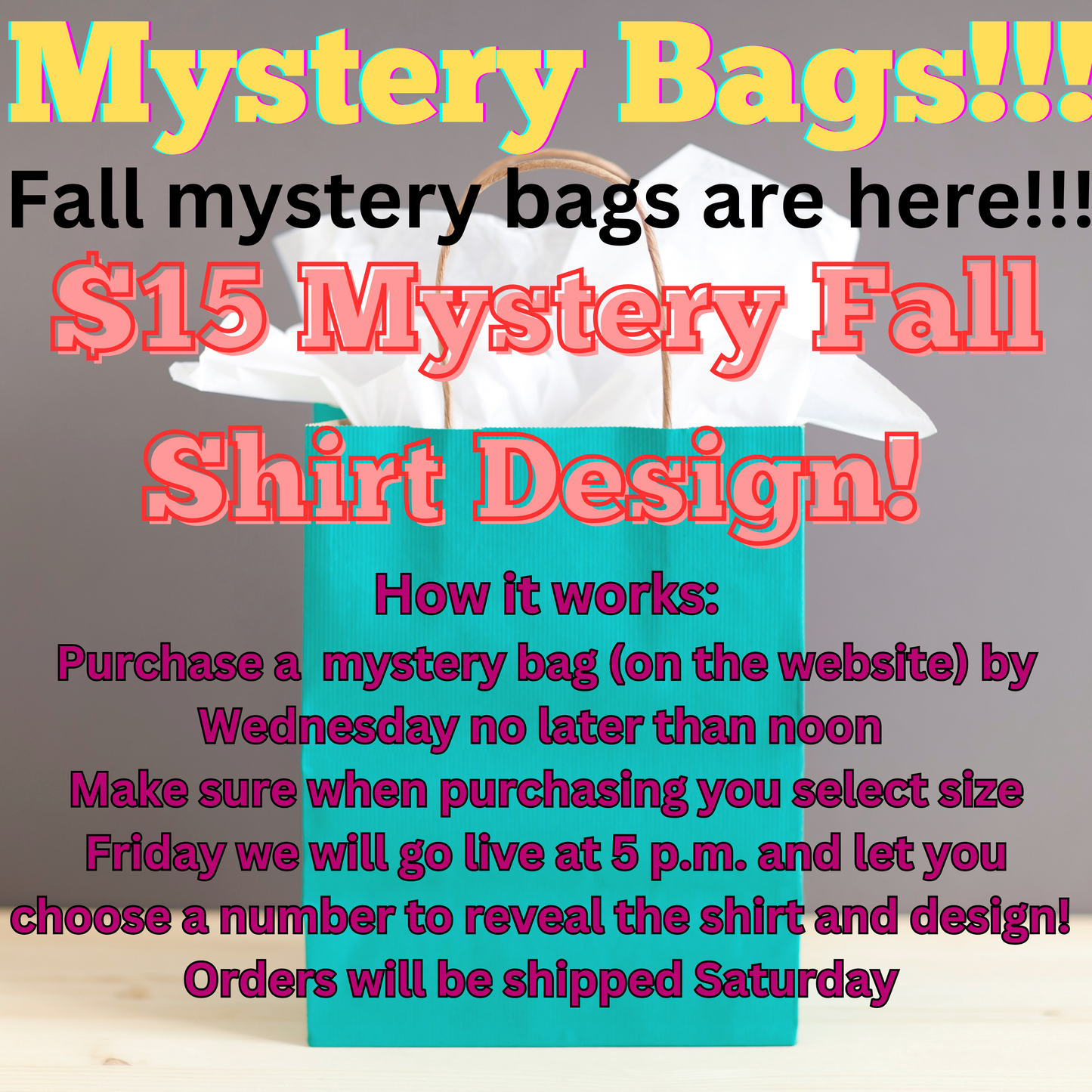 Facebook Fall T-shirt  Mystery Bag!